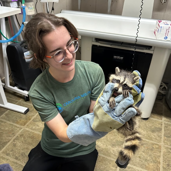 Wear welding gloves to safely handle pets