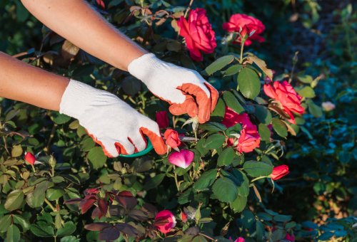 Wear welding gloves to trim flowers